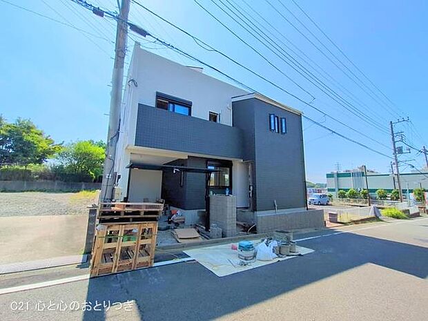 撮影日:2025/06/18