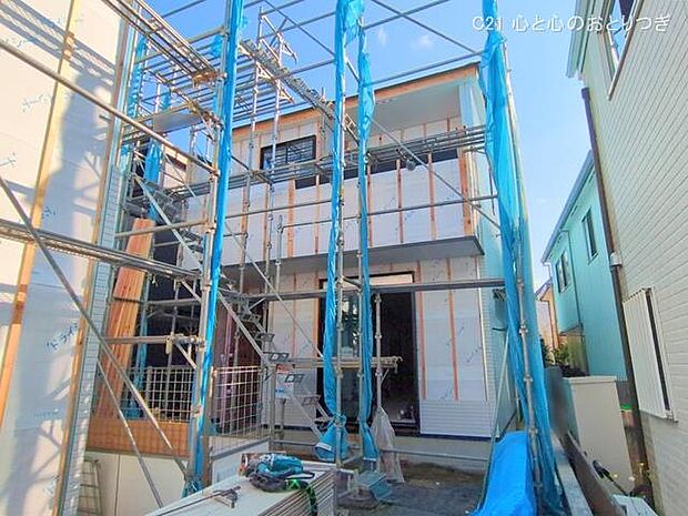 撮影日:2025/06/05