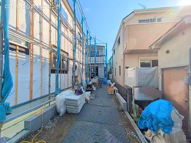 撮影日:2025/06/05