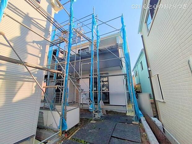 撮影日:2025/06/17