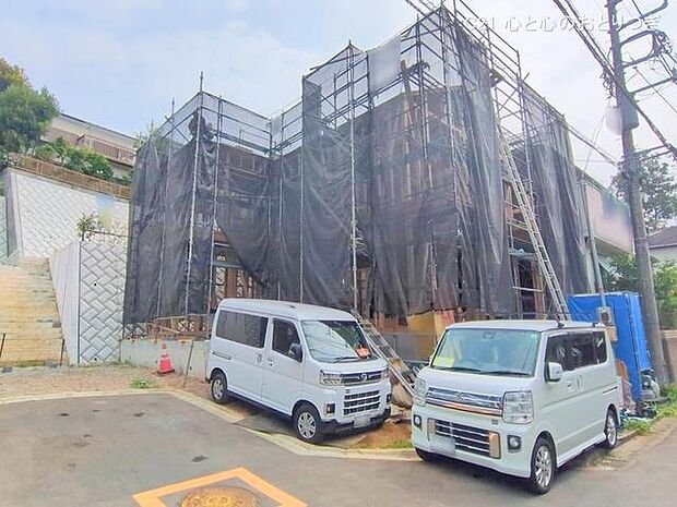 撮影日:2025/07/07