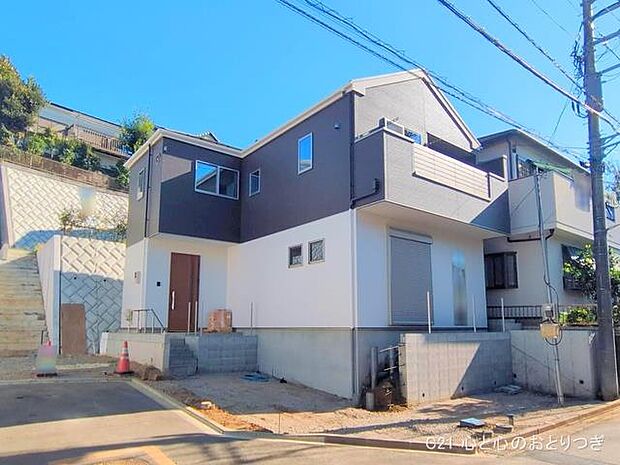 撮影日:2025/09/02