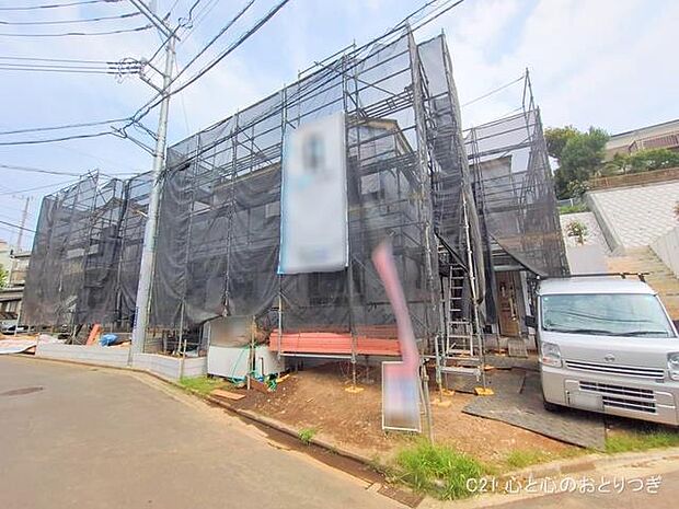 撮影日:2025/07/07