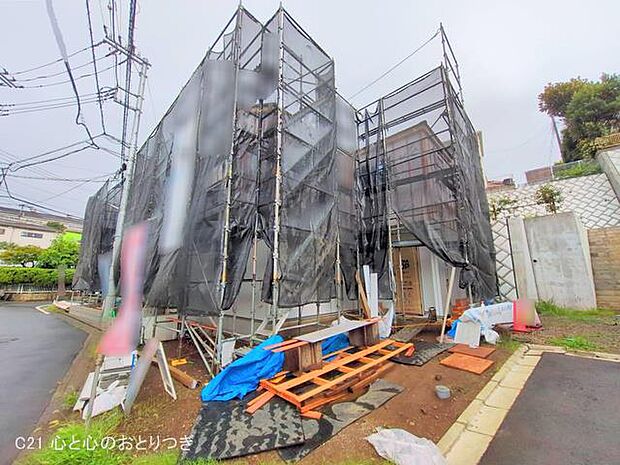 撮影日:2025/07/16