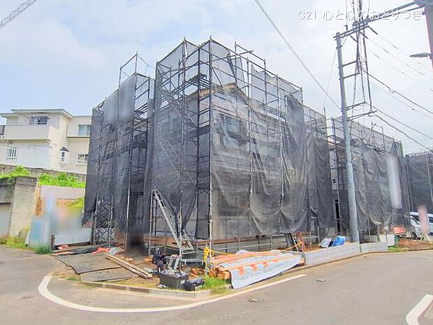 撮影日:2025/07/07