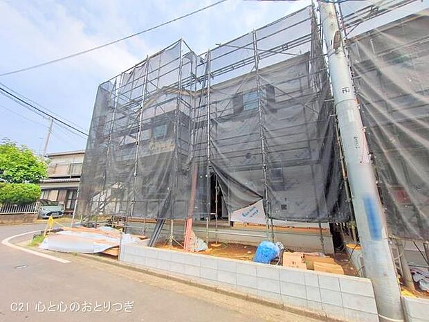 撮影日:2025/07/07