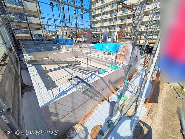 撮影日:2025/08/19