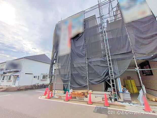 撮影日:2025/11/12