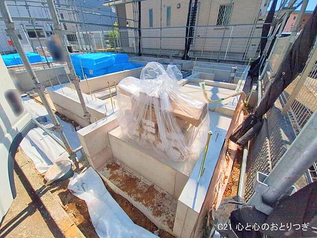 撮影日:2025/08/19