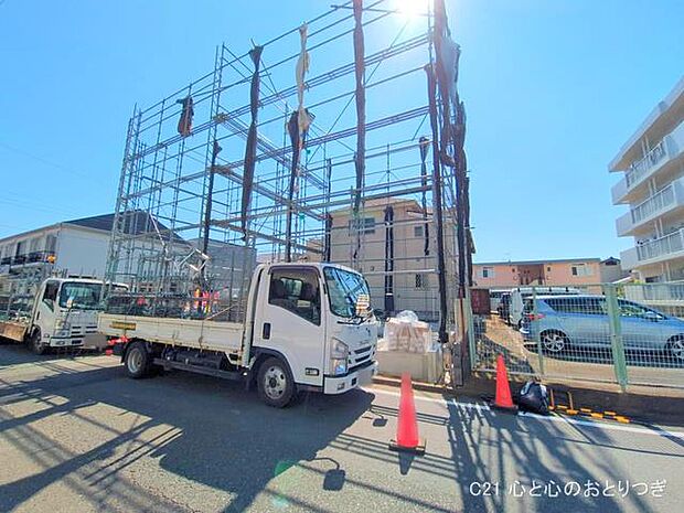 撮影日:2025/08/19