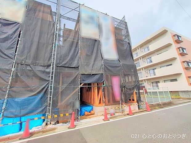 撮影日:2025/09/12