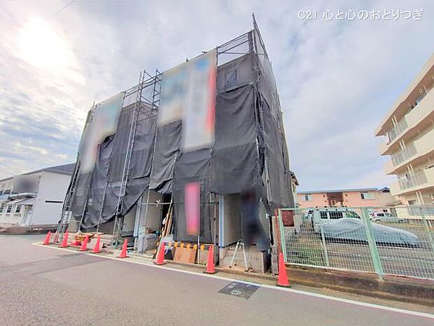 撮影日:2025/11/12