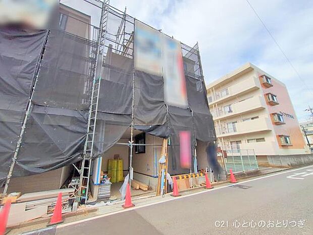 撮影日:2025/11/12