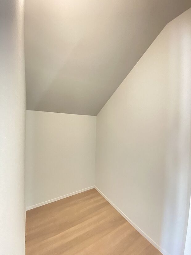 衣類だけじゃなく、スーツケースやレジャー用品もしまえます。