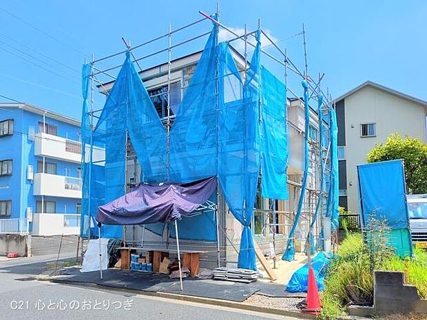 撮影日:2025/09/08