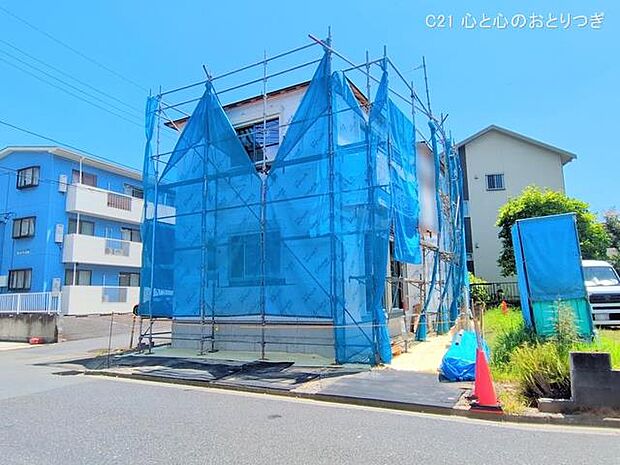 撮影日:2025/07/29