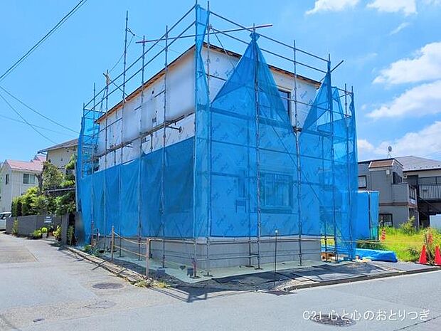 撮影日:2025/07/29