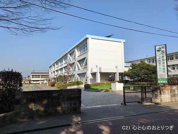 藤沢市立富士見台小学校　1560ｍ　撮影日:2025/03/26
