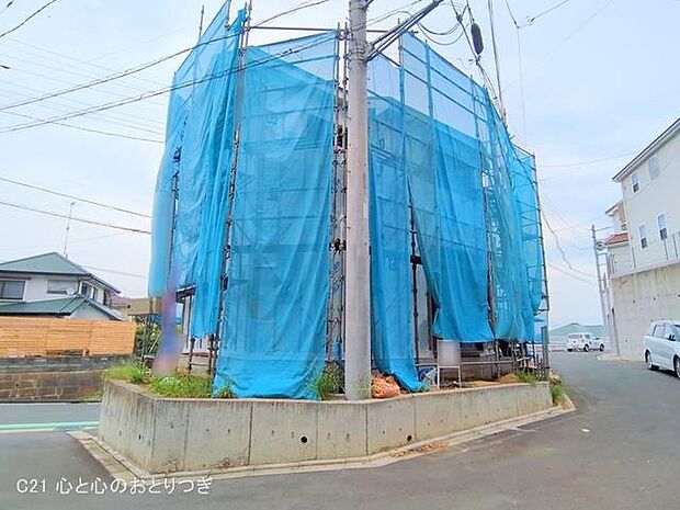 撮影日:2025/09/18