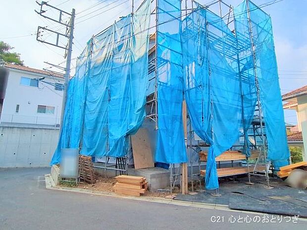 撮影日:2025/08/18