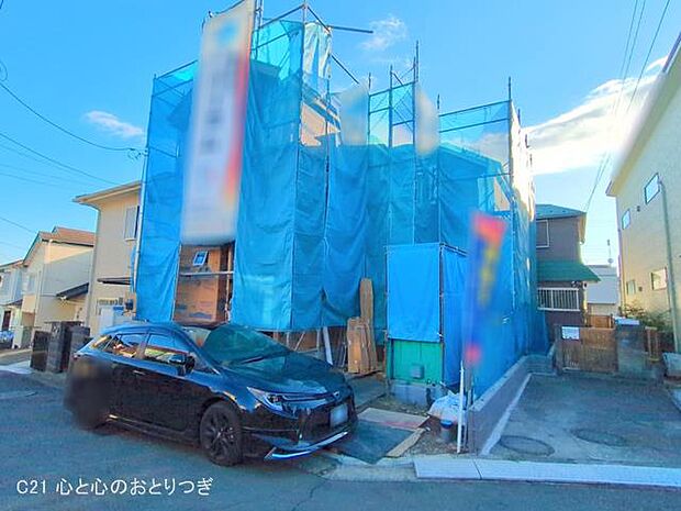 撮影日:2025/11/19