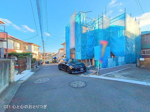 撮影日:2025/11/19