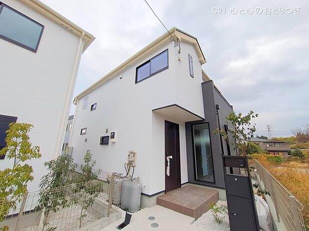 撮影日:2025/11/27