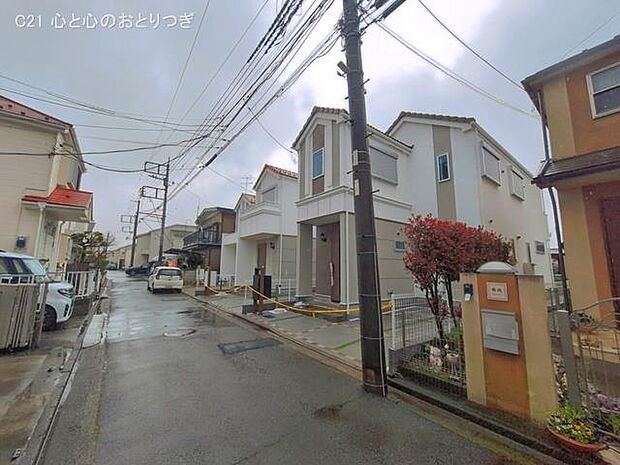 撮影日:2026/03/26