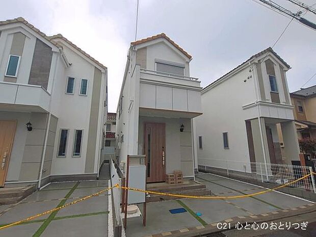 撮影日:2026/03/26