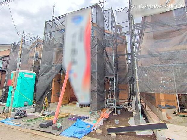 撮影日:2025/11/13