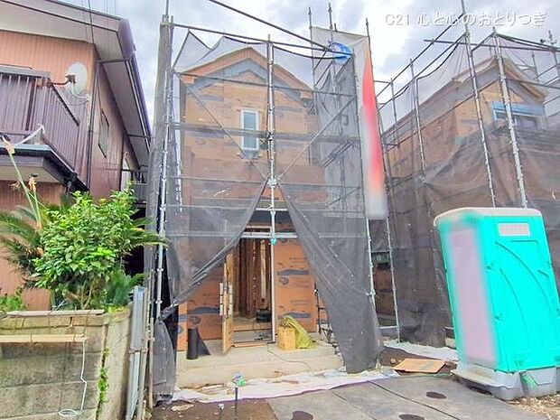 撮影日:2025/11/13