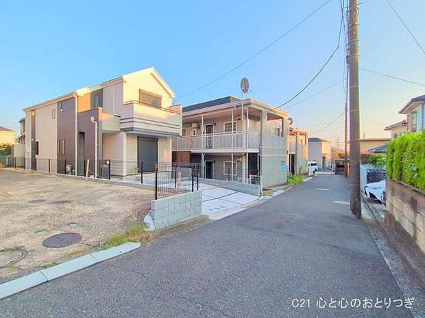 撮影日:2025/09/17