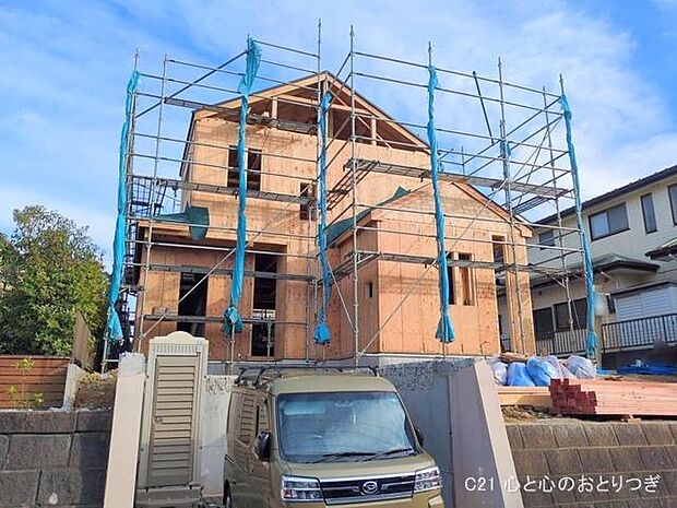 撮影日:2025/11/04