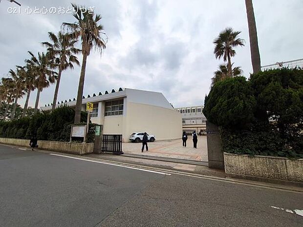 藤沢市立湘洋中学校　1100ｍ