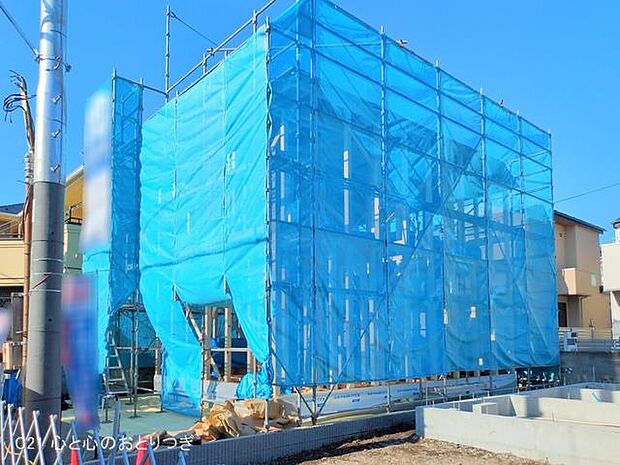 撮影日:2025/11/14