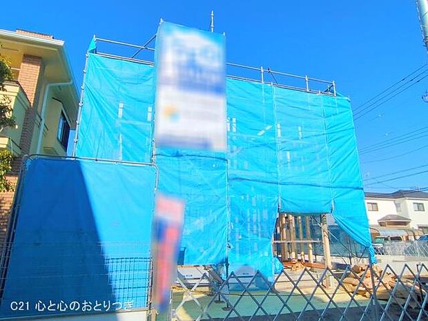 撮影日:2025/11/14