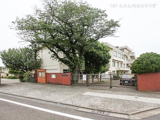 藤沢市立中里小学校 560m