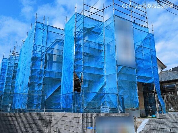 撮影日:2026/03/11