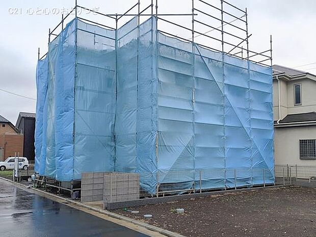 撮影日:2026/02/25