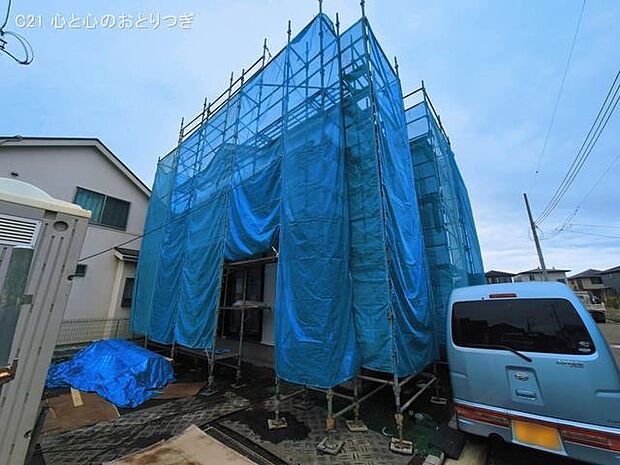 撮影日:2026/03/16