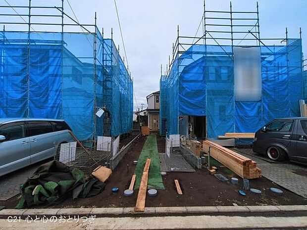 撮影日:2026/03/16