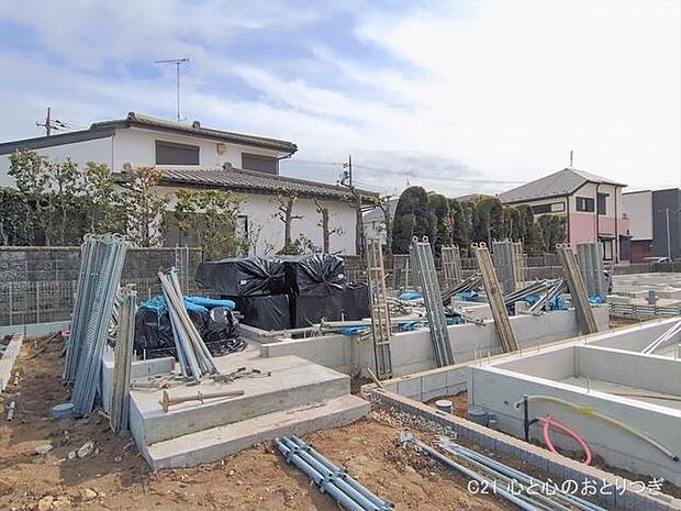 撮影日:2026/01/20