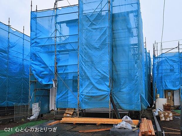 撮影日:2026/03/03