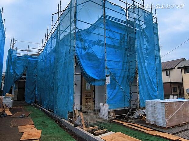 撮影日:2026/03/19