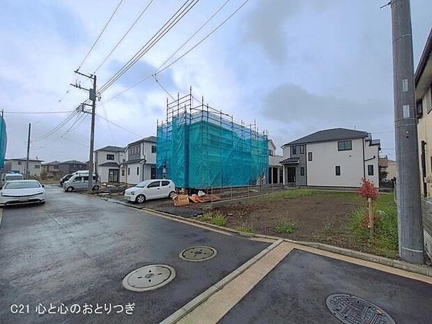 撮影日:2026/03/31