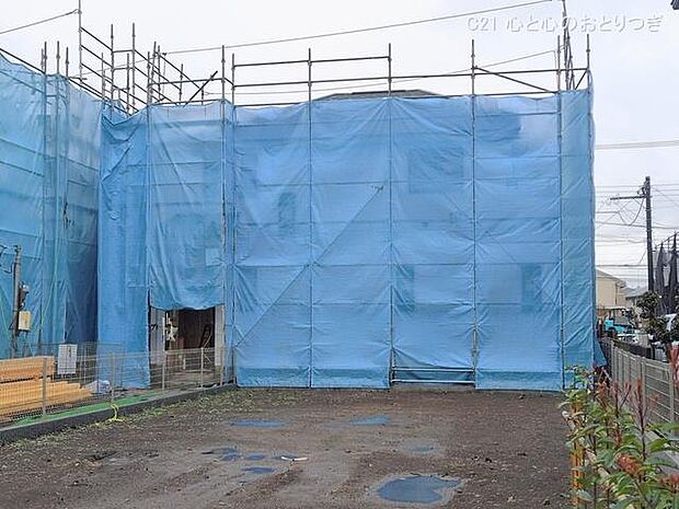 撮影日:2026/02/25