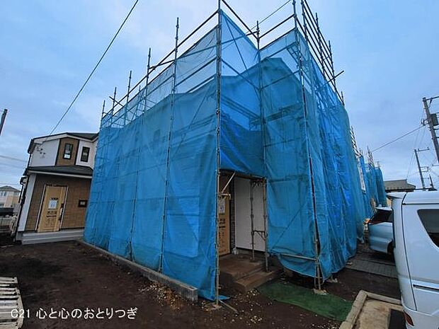 撮影日:2026/03/16