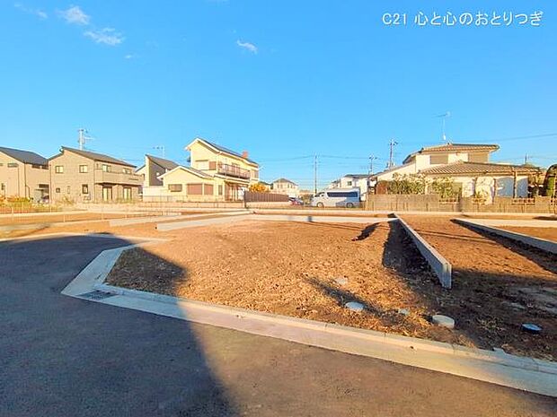 撮影日:2025/12/04