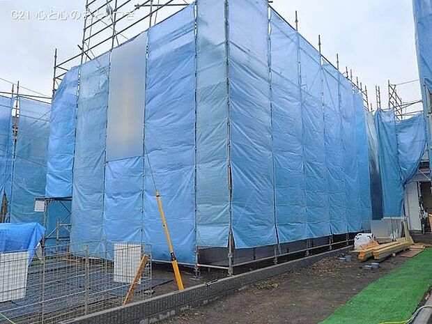 撮影日:2026/02/25