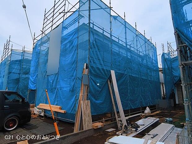 撮影日:2026/03/16